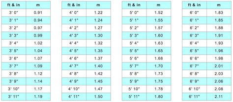 1.70 metres in feet|Meter to Feet and Inches (m to ft in) .